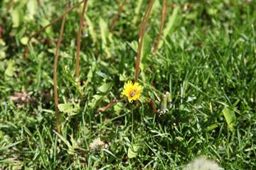 بهار دانشگاه 1399